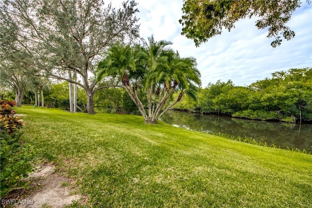 view of yard featuring a water view