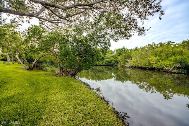 water view