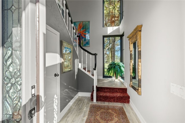 foyer entrance with light hardwood / wood-style flooring