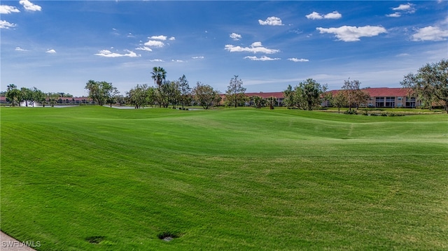 view of community featuring a yard