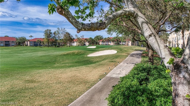 view of home's community with a yard