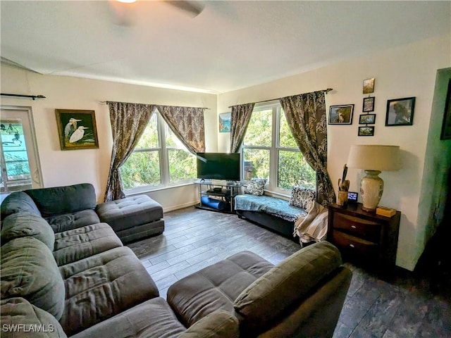 living room with a healthy amount of sunlight and dark hardwood / wood-style floors