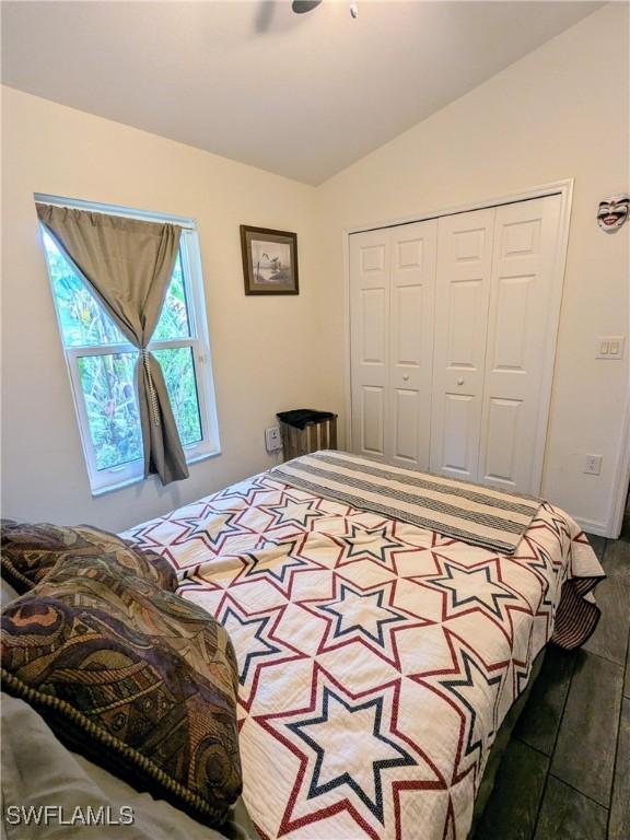 bedroom featuring vaulted ceiling, dark hardwood / wood-style flooring, and a closet