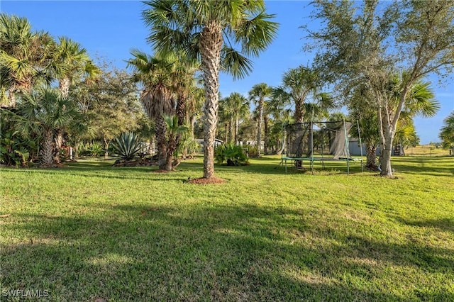 3930 24th Ave SE, Naples, FL 34117 - view of green lawn featuring a trampoline