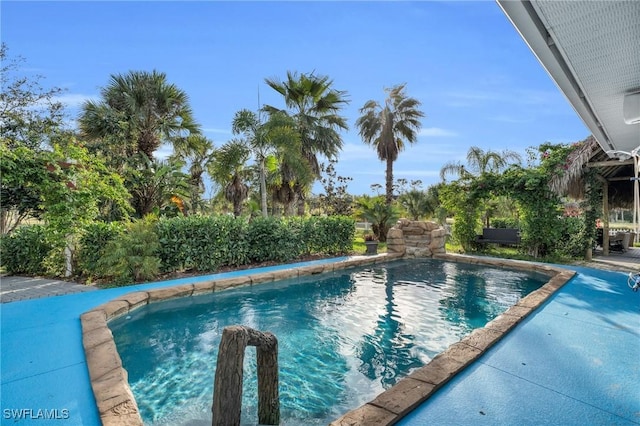 3930 24th Ave SE, Naples, FL 34117 - view of outdoor pool