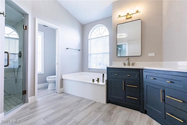 full bathroom with a wealth of natural light, vanity, wood-type flooring, and vaulted ceiling