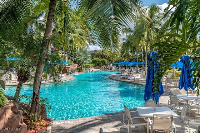 view of swimming pool with a patio