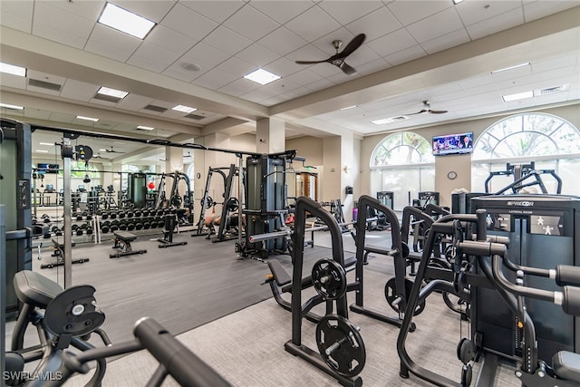 gym with a paneled ceiling, light hardwood / wood-style flooring, and ceiling fan