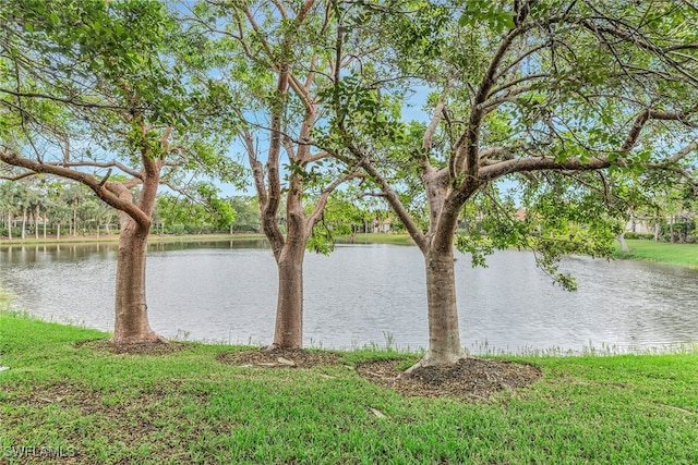 water view