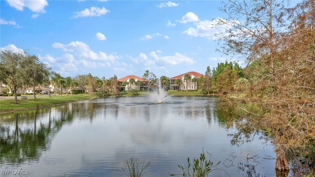 view of water feature