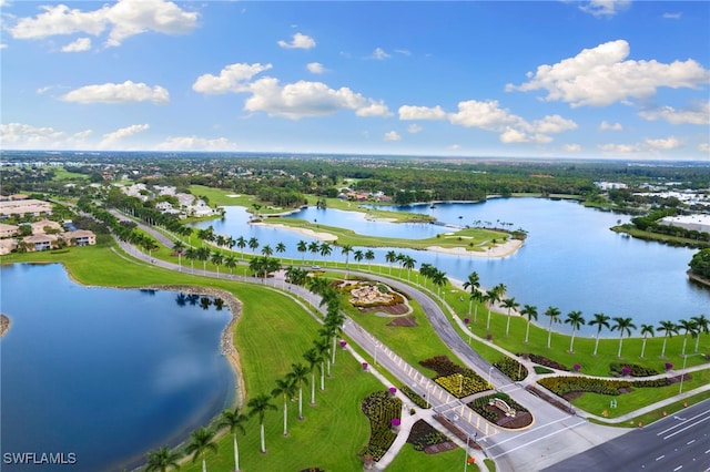 bird's eye view with a water view