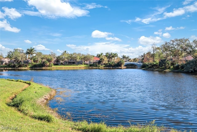 property view of water