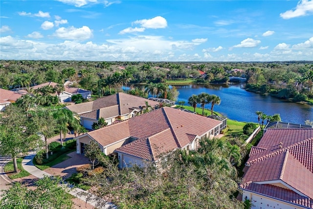 aerial view with a water view