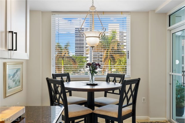 dining room featuring a wealth of natural light