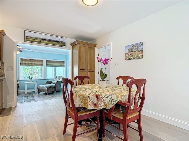 dining room with ceiling fan and light hardwood / wood-style flooring