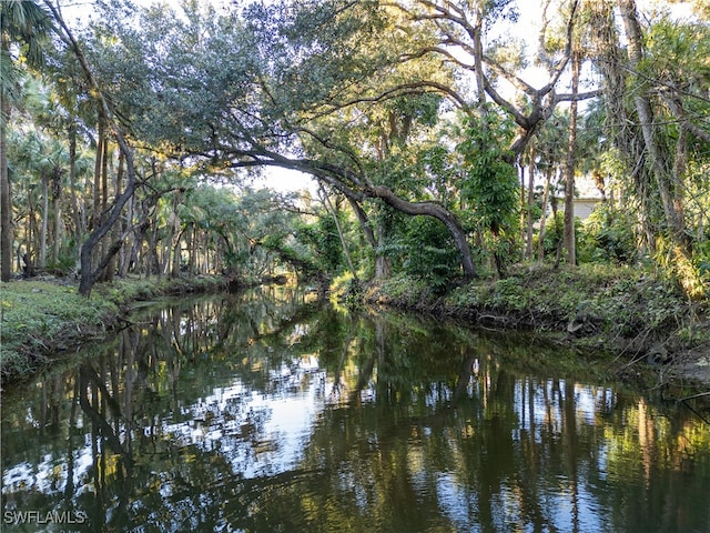 property view of water featuring a view of trees