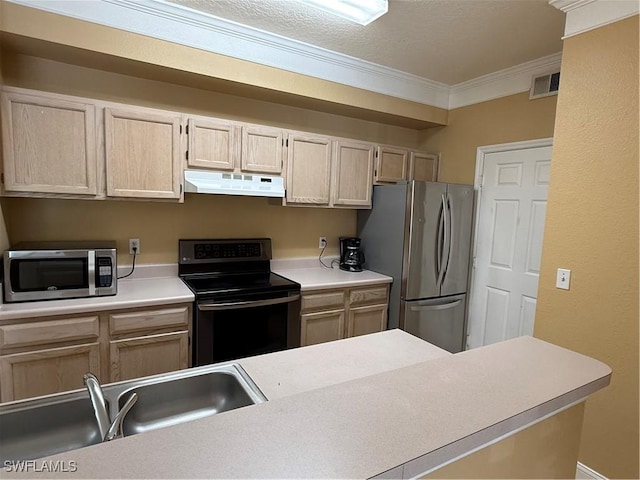 kitchen with sink, light brown cabinets, crown molding, and stainless steel appliances