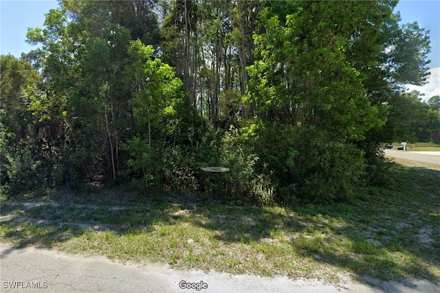 Listing photo 2 for 710 La Plata Ave, Lehigh Acres FL 33974