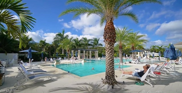 view of pool with a patio