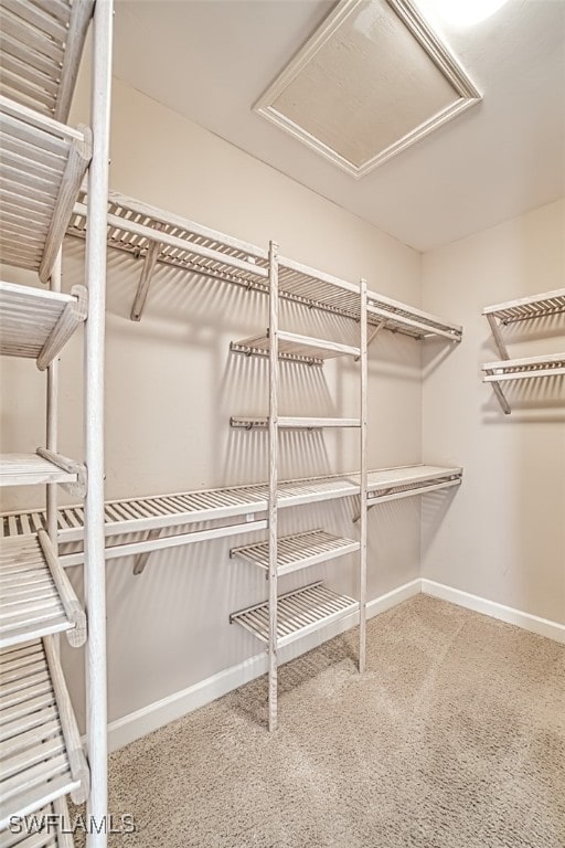 spacious closet with carpet floors