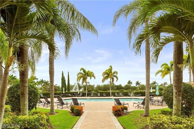 view of swimming pool