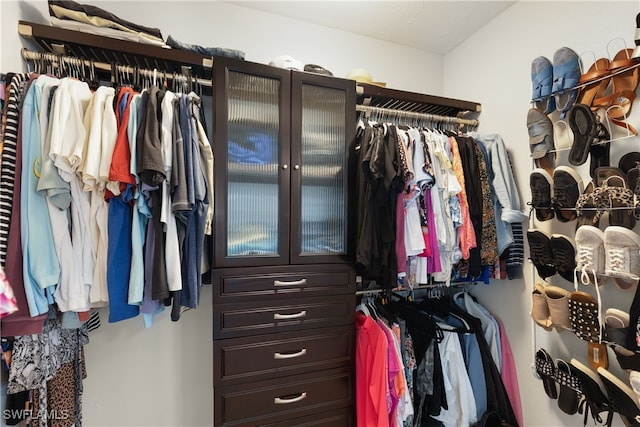 view of walk in closet