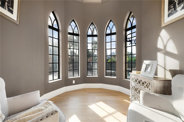 living area with plenty of natural light, a towering ceiling, and light hardwood / wood-style flooring