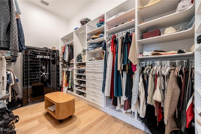 walk in closet featuring wood-type flooring