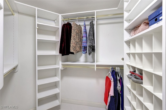 view of spacious closet