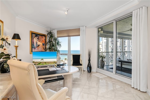 living room with ornamental molding and a wealth of natural light