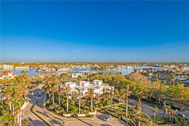 aerial view with a water view