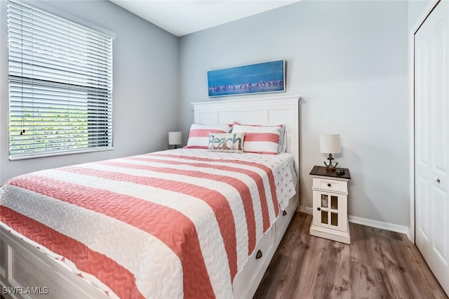 bedroom featuring a closet and hardwood / wood-style flooring