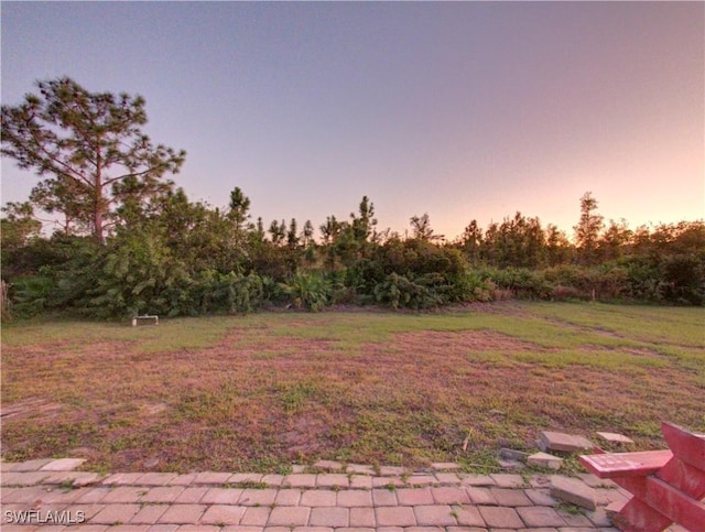 view of yard at dusk