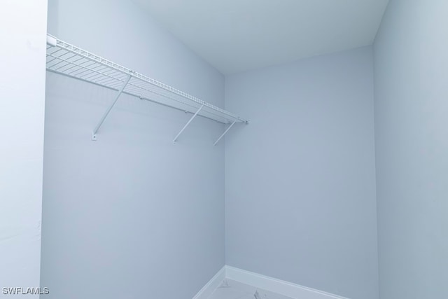 view of walk in closet