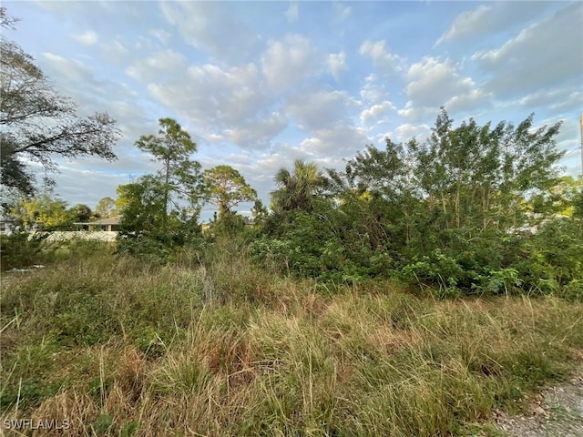 3810 37th St SW, Lehigh Acres FL, 33976 land for sale