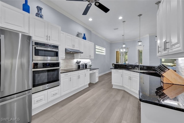 5620 Hammock Isles Dr, Naples, FL 34119 - kitchen with stainless steel appliances, under cabinet range hood, ceiling fan, white cabinets, and crown molding