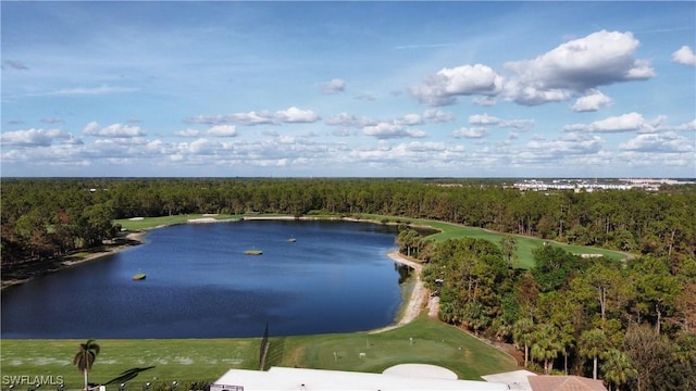 aerial view featuring a water view and a wooded view