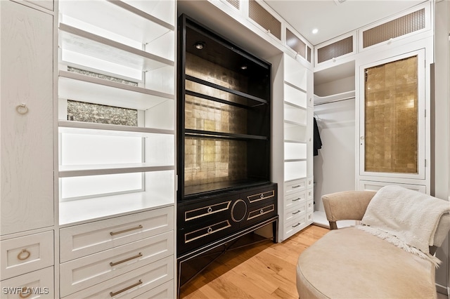 spacious closet featuring light wood-type flooring