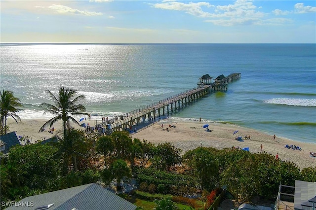 bird's eye view featuring a water view and a view of the beach