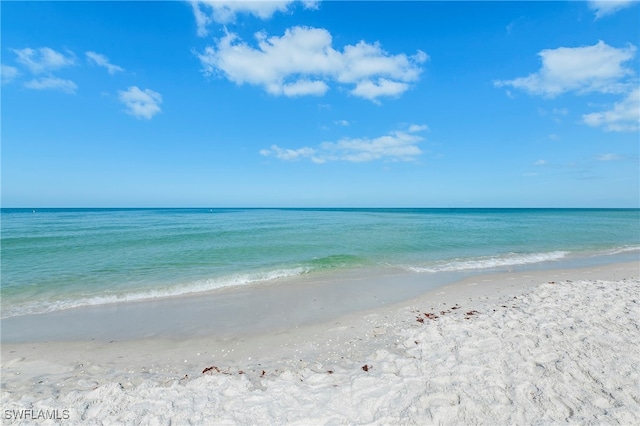 view of water feature with a beach view