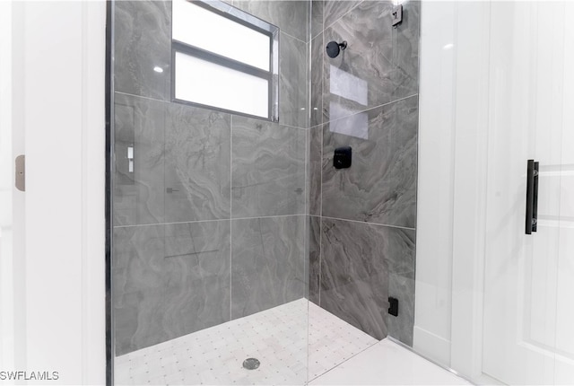 bathroom featuring a shower with shower door