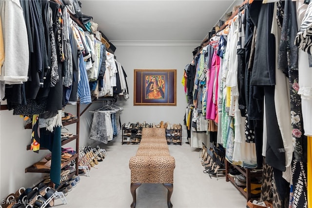 spacious closet featuring carpet floors