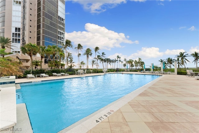 view of pool featuring a patio area