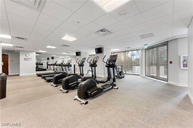 exercise room featuring expansive windows, a drop ceiling, and carpet