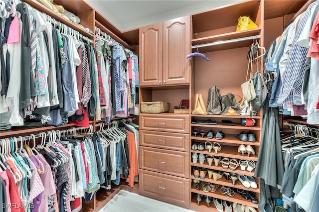 view of spacious closet