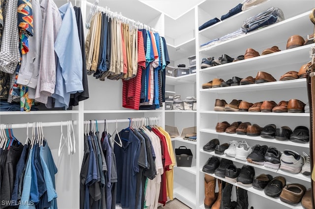 view of walk in closet