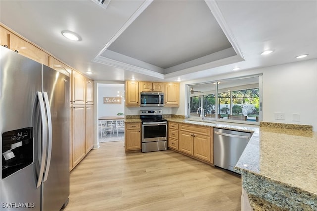 kitchen featuring light hardwood / wood-style flooring, light stone countertops, light brown cabinetry, a tray ceiling, and stainless steel appliances