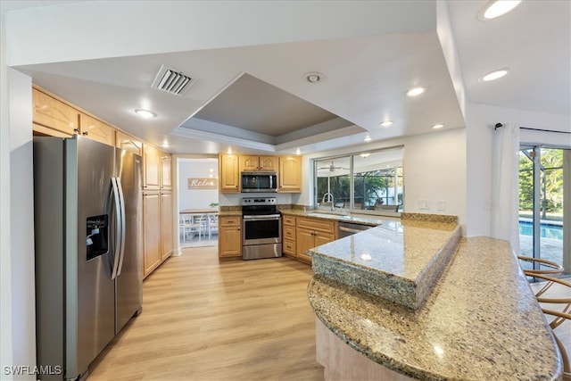 kitchen featuring a tray ceiling, kitchen peninsula, a healthy amount of sunlight, and stainless steel appliances