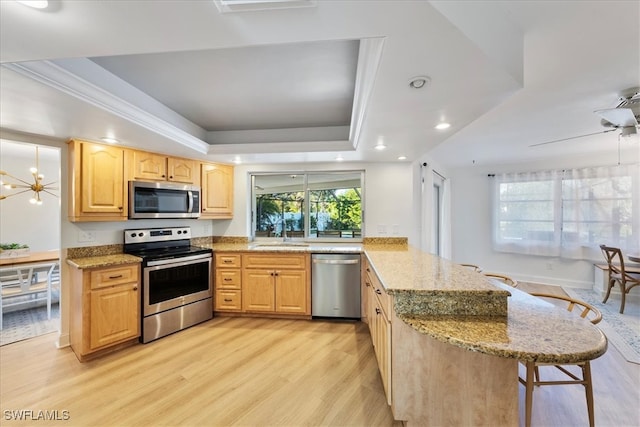 kitchen featuring kitchen peninsula, light stone countertops, stainless steel appliances, a raised ceiling, and light hardwood / wood-style flooring