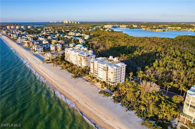 bird's eye view with a view of the beach and a water view